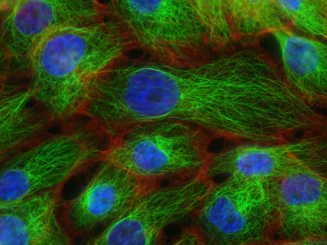 Photo DNA sequencing